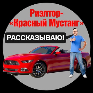 Аватар канала Решэлторъ Красный Мустанг | Блог Алексея Калашникова