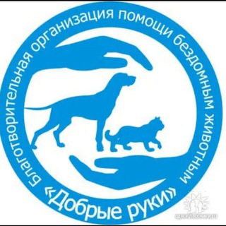 Аватар канала Добрые руки Ростов-на-Дону