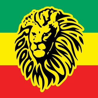 ROTOTOM SUNSPLASH channel avatar