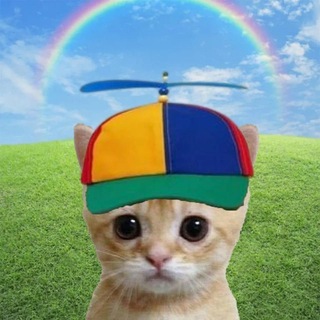 рума розена channel avatar