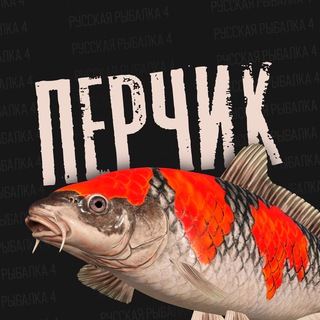 Аватар канала Перчик РР4 | Русская рыбалка 4