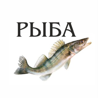 Свежая рыба Петрозаводск channel avatar