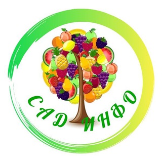 САД - ИНФО channel avatar