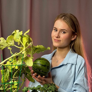 Аватар канала 🌱Садовод Даша (огород в квартире)