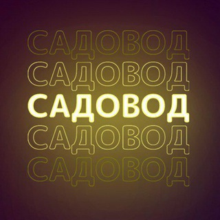 Аватар канала Рынок Садовод Поставщики
