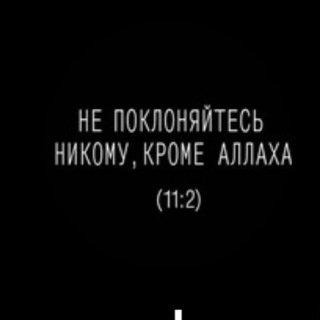 Блокнот саляфита channel avatar