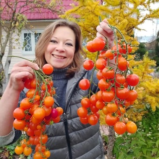 Аватар канала Светлана Самойлова