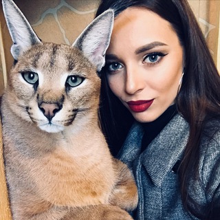 Аватар канала Sauvage. Территория Кошек