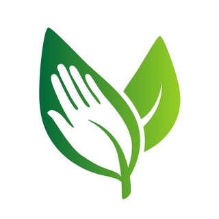 Аватар канала Schoepferinsel - Alternative Medizin, Bewusstsein & Naturheilkunde