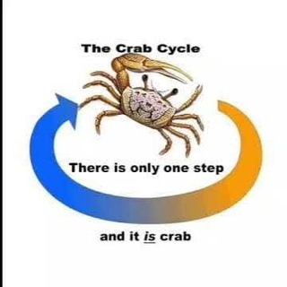 Science Diagrams that Look Like Shitposts channel avatar