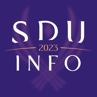 SDU '27 | info channel avatar