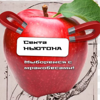 sektanewtona channel avatar
