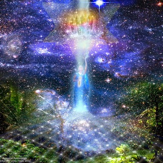 ✨ Semillas Estelares - Starseeds de Diana Árbol ✨ channel avatar