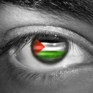 المكتبة الفلسطينية الشاملة channel avatar