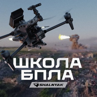 Аватар канала Shalnyak Aerograd