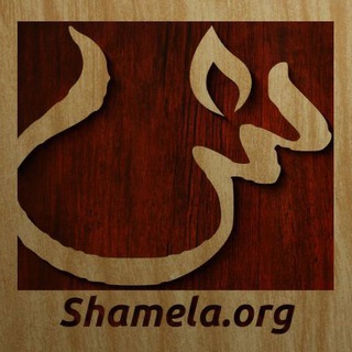 Аватар канала Shamela.org