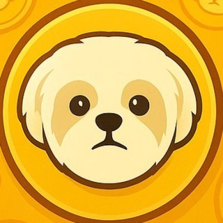 Аватар канала Shih Tzu Portal