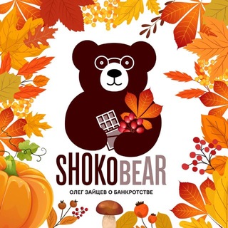 Shokobear (Олег Зайцев о банкротстве) channel avatar