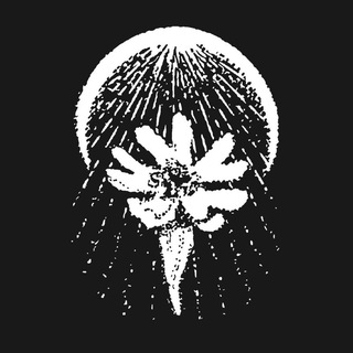 Silene Noctiflora channel avatar