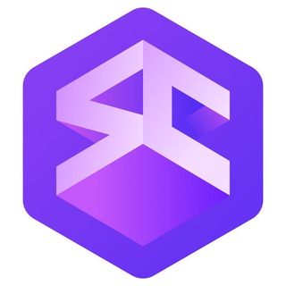 Skyline Connect 公告板 channel avatar