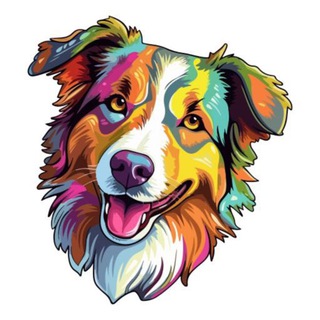 Собака может больше - блог кинолога channel avatar