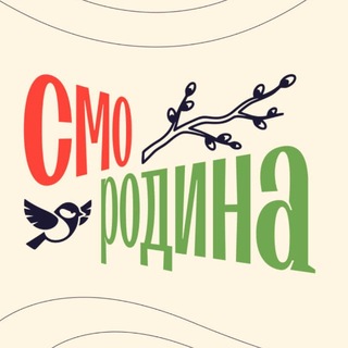 Аватар канала Смородина: Смотри Родину