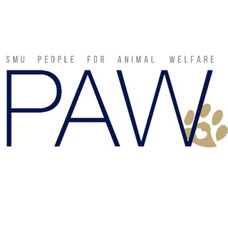 Аватар канала 🐾 SMU PAW 💕