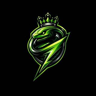 Snake Engine Group channel avatar