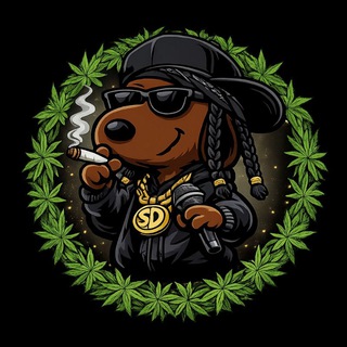 SNUPY channel avatar
