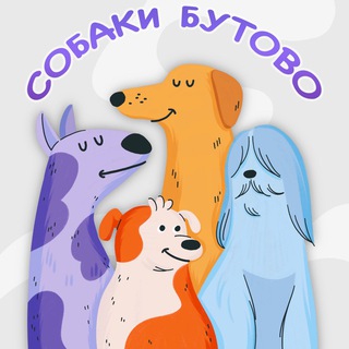 СОБАКИ БУТОВО 🐕 channel avatar