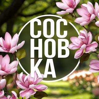 sosnovka_academy channel avatar