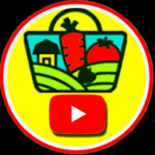 СОВЕТЫ БИОЛОГА channel avatar