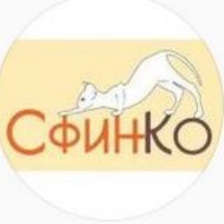 Аватар канала СфинКо