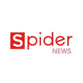Spider Media channel avatar