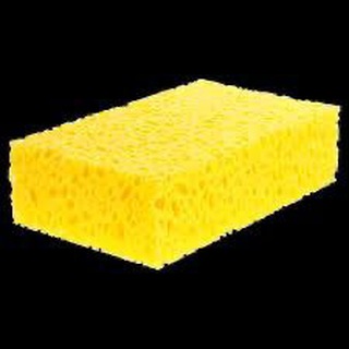 Аватар канала SPONGE