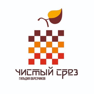 Гильдия 'Чистый срез' channel avatar