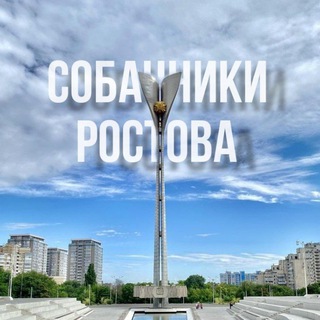 Аватар канала собачники ростова и области ср🔥