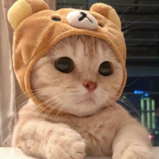 BY公益内核发布频道 channel avatar
