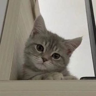 Аватар канала БратишкаНаказывает!