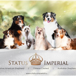 Питомник Status Imperial channel avatar