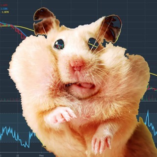 Биржа, деньги, хомяки channel avatar