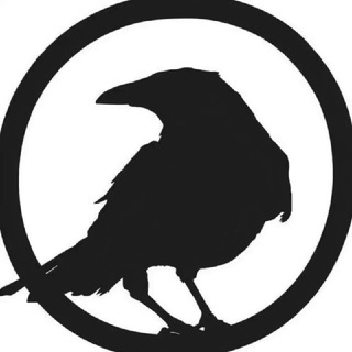 ИСТОРИИ ОТ ВОРОНА channel avatar