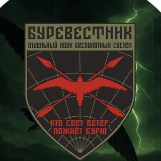 Буревестник | Отдельный полк channel avatar