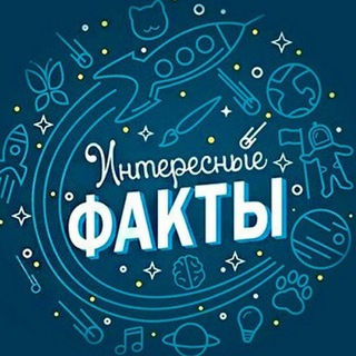1000 Интересных фактов channel avatar