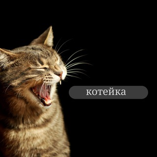 Котейка channel avatar