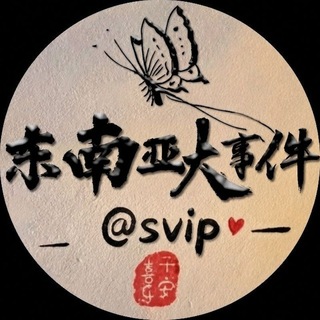 东南亚大事件 channel avatar