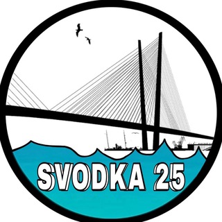 Svodka25 l Новости Приморья и Владивостока channel avatar