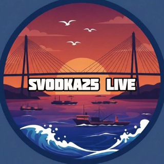 Svodka25 Live | Новости Приморского края и Владивостока channel avatar