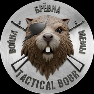 TACTICAL BOBR channel avatar