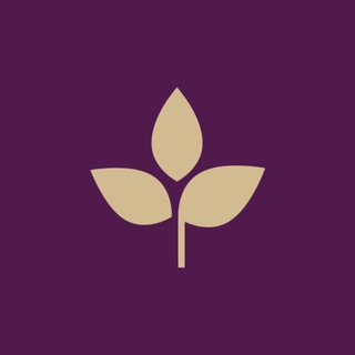 Тайрай — тайский спа channel avatar